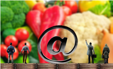 【模式研究】農村電商的特點、模式,80%在這里